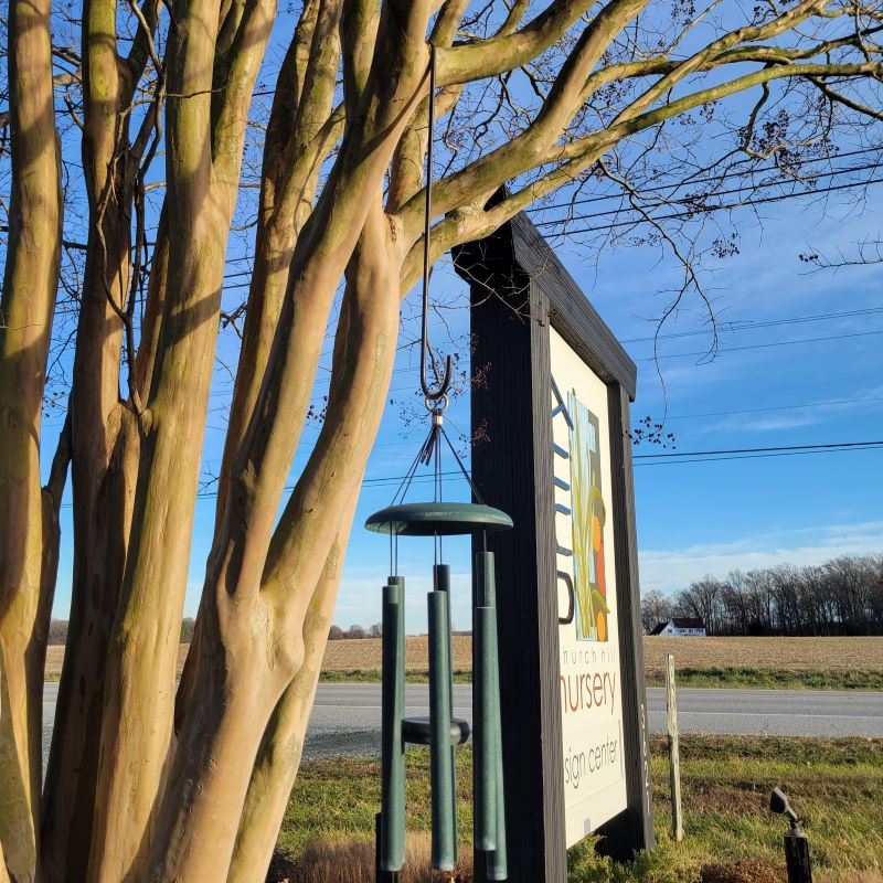 An 18" rubber wrapped metal extension hook, in use suspending a set of metallic green windchimes from a crape myrtle branch.