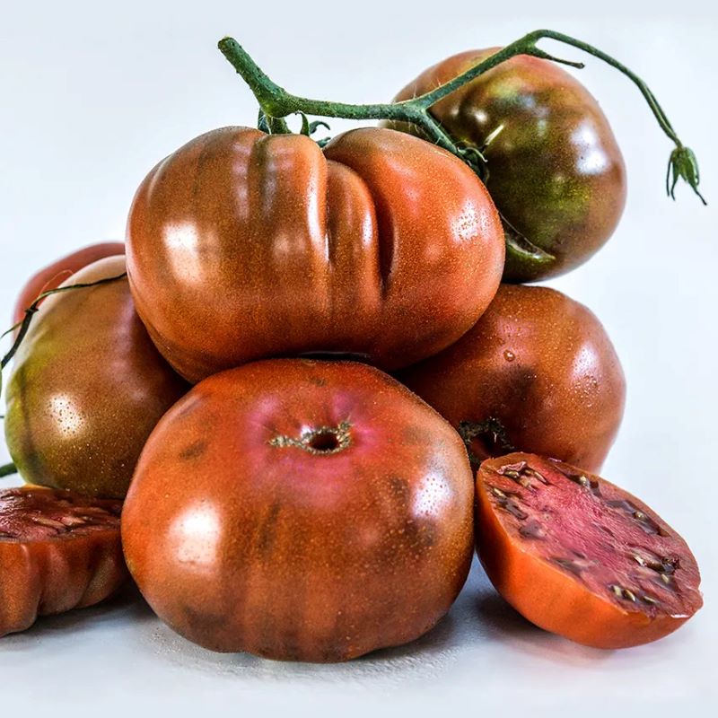 Mature brick red and purple Paul Robeson tomatoes.