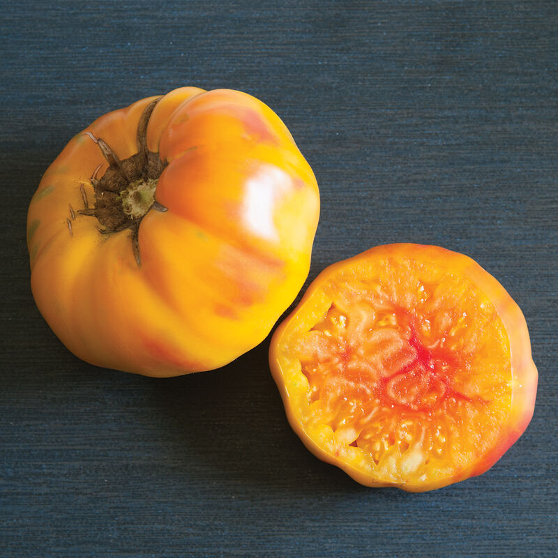 The golden yellow and pale red skin and flesh of a mature Striped German heirloom tomato.