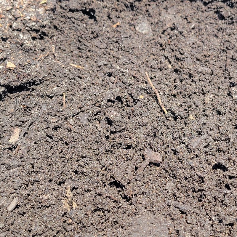 Rich, black topsoil blend with a healthy mix of sandy-loam and organic compost materials, perfect for garden, yard, and landscape plantings.