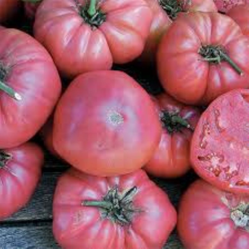 Tomato Rose Unity Grown
