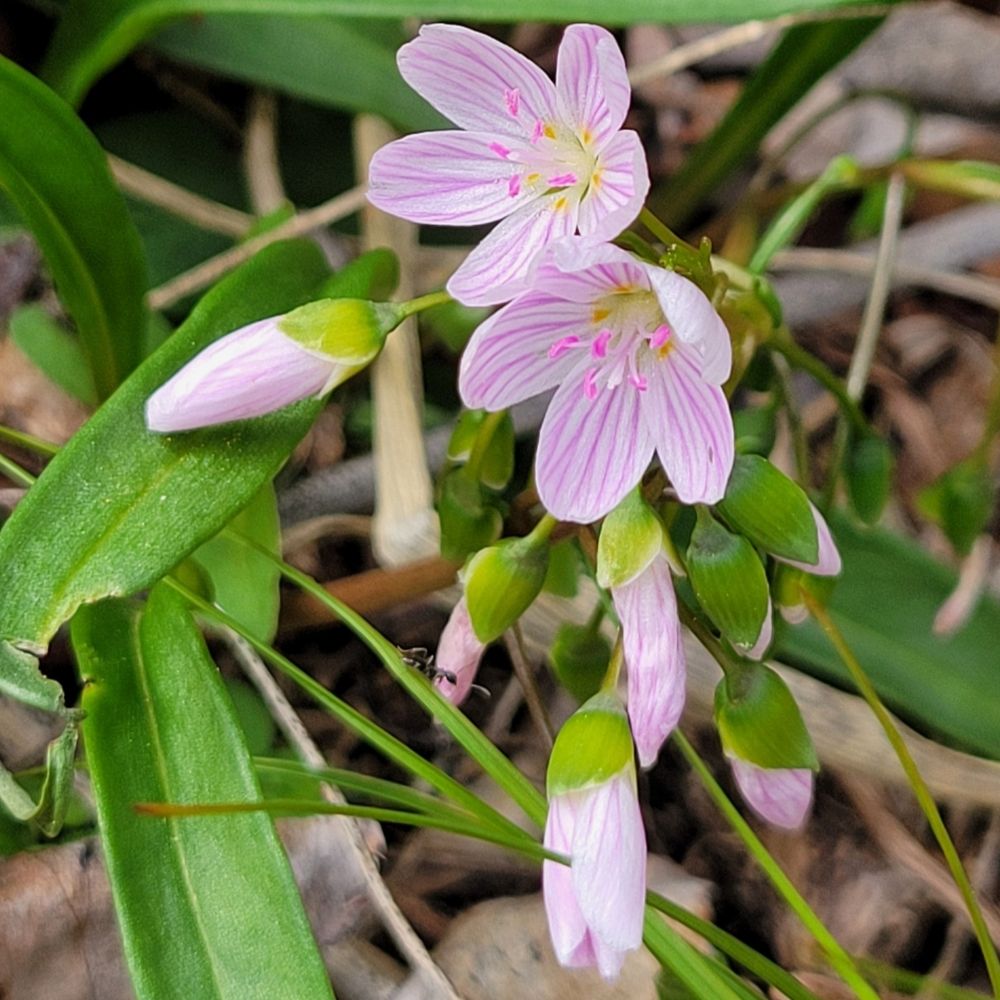 March 2026 Newsletter