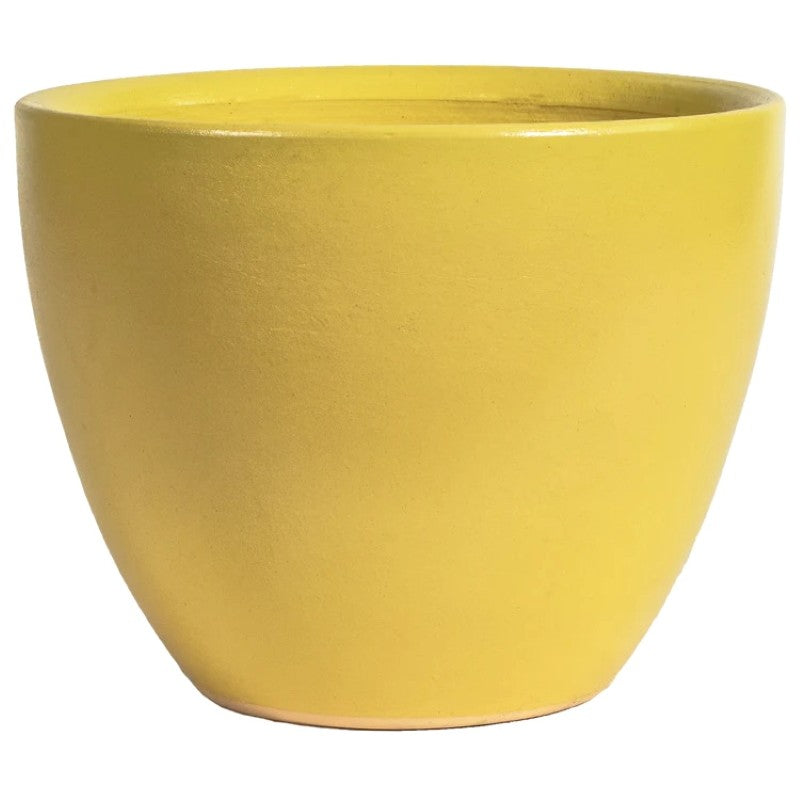 A stock photo of a sunny yellow, rounded, egg-cup like planter with plain sides.