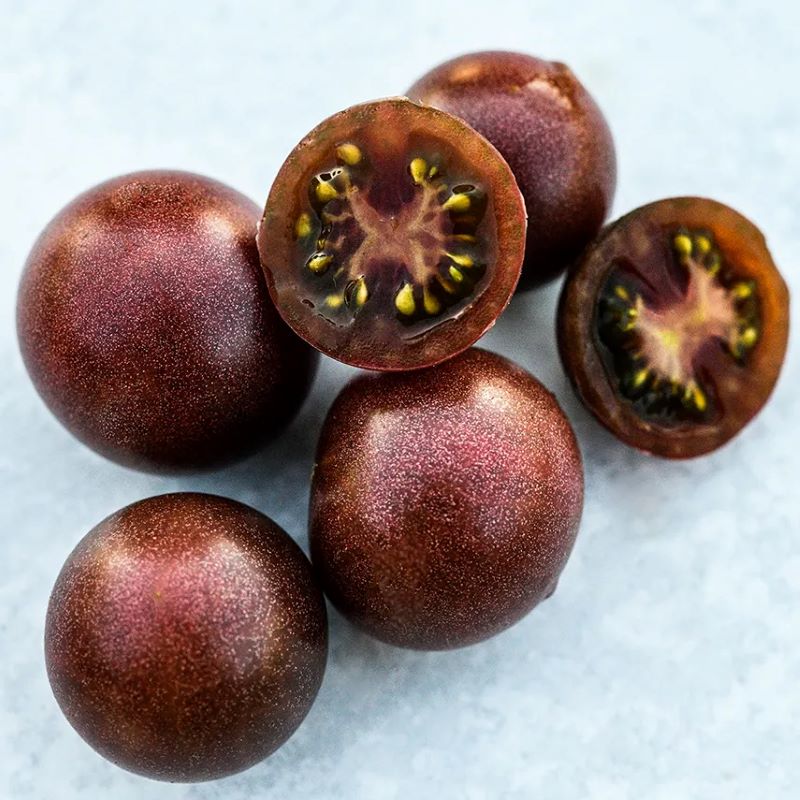 Mature Black Cherry tomato fruits with dark purple-black skin and flesh.