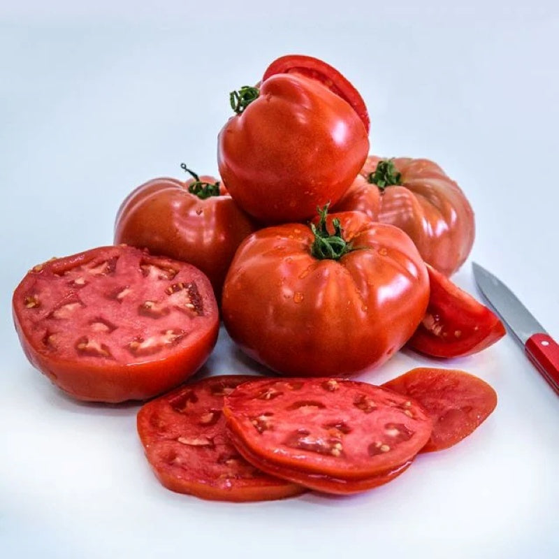 A small stack of mature, glossy red Bonnie Best tomatoes, with slices and wedges for display.