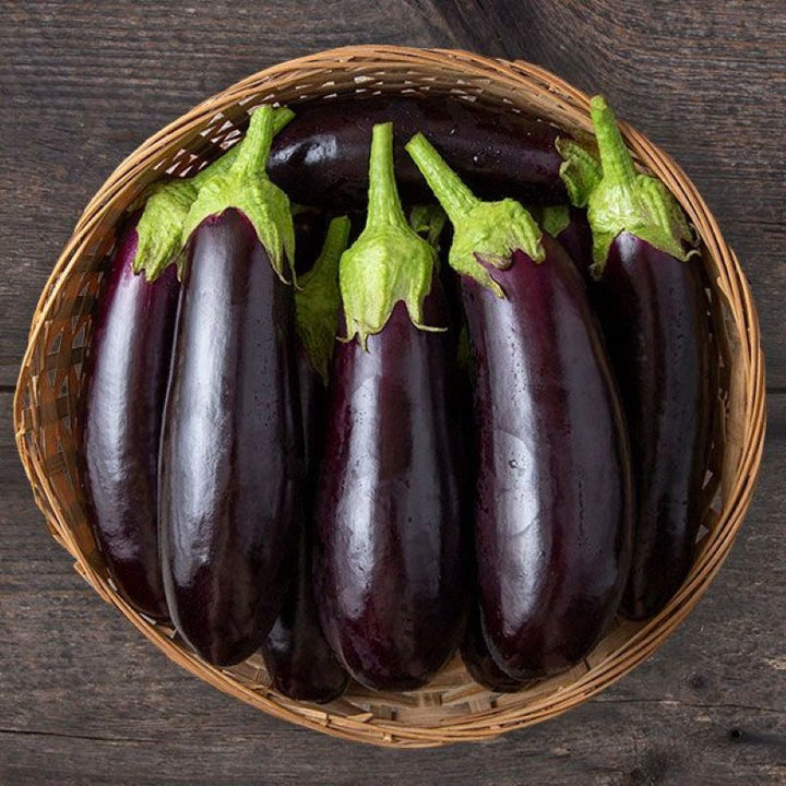 Eggplant Diamond Unity Grown