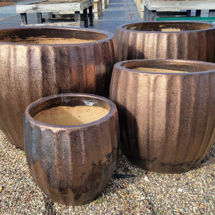 A trio of rounded Estrella Planters with bowed walls and sculpted fluting; finished in a metallic bronze glaze. In the photo there are two large pots, a medium pot, and a small pot.