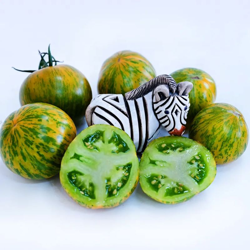 The stripey yellow and green skin and bright green flesh of Green Zebra tomatoes... along with a sneaky zebra friend.