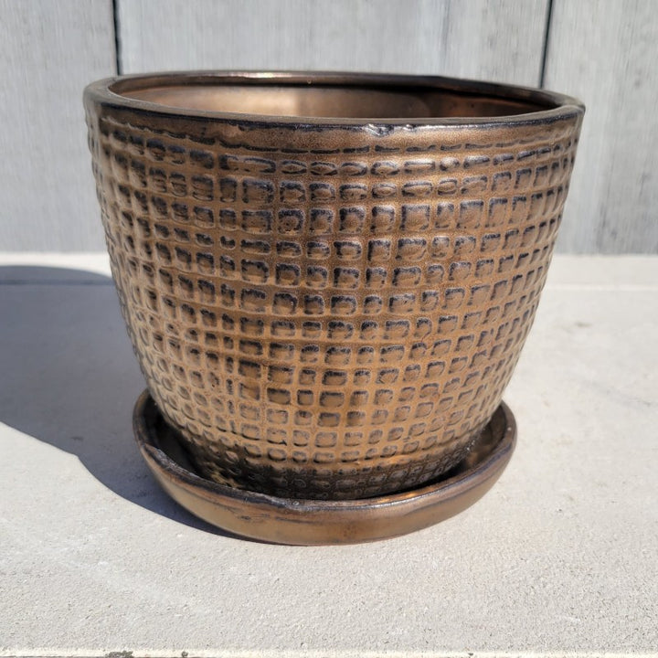 A small rounded planter with built-in saucer and a sculpted pin check design; finished with a dark metallic bronze glaze.