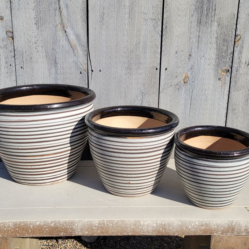 A trio of carefully pinstriped low kettle pot planters in black and cream white, ranging from large to small.