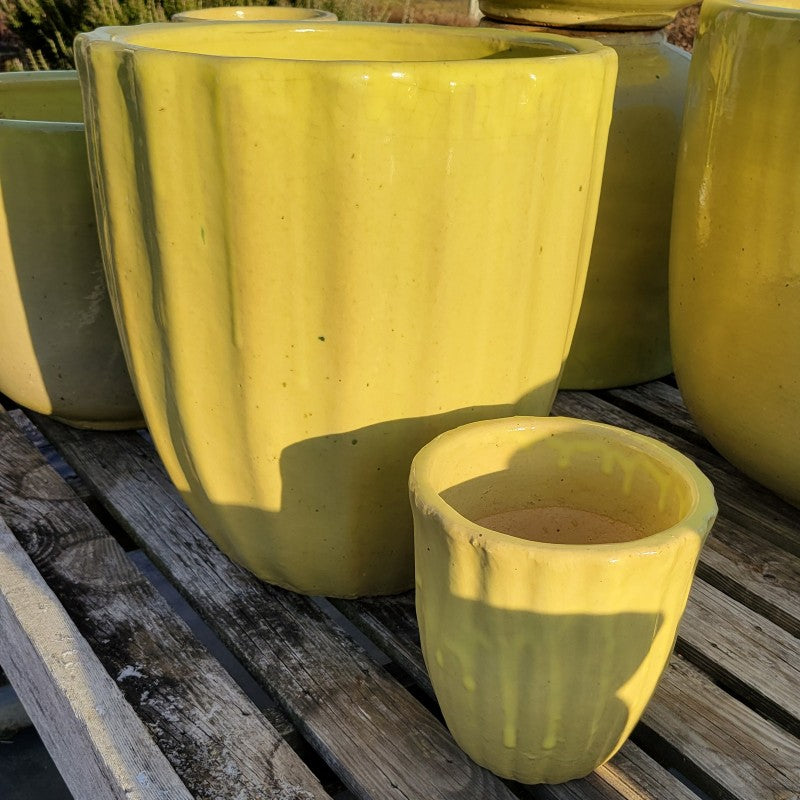 A pair of extra small and medium-sized Scalloped planters in yellow.