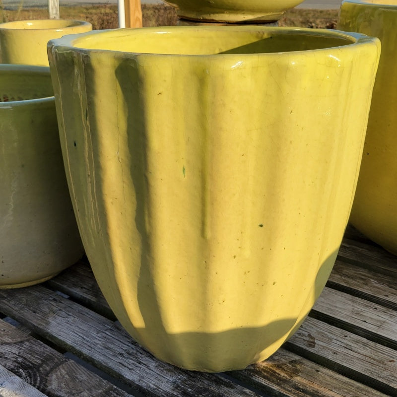 An upright, rounded planter with a sculpted fluted/scalloped design; finished with a pastel yellow glaze.