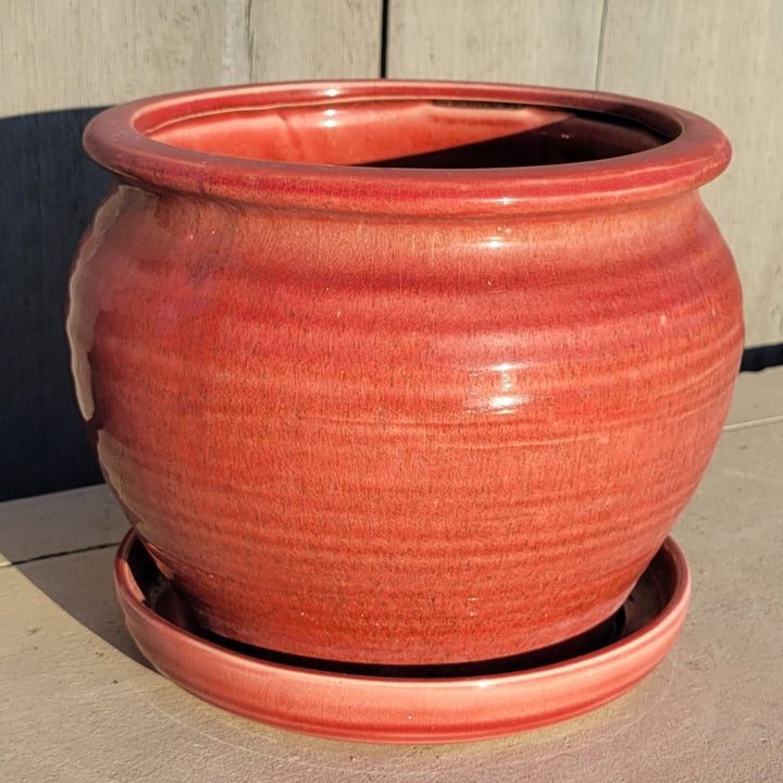 A rounded, squat urn-style Speckle planter with built-in saucer; glazed in pastel rose-red glaze.