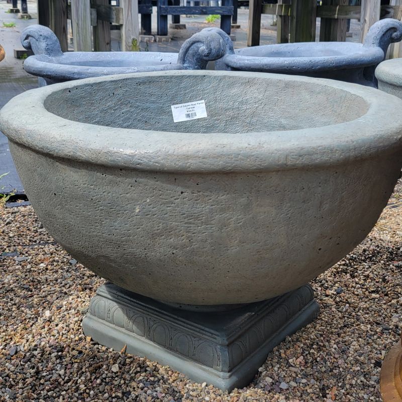 A photo of a Cypress gray bowl-shaped planter on a tapered, square pedestal