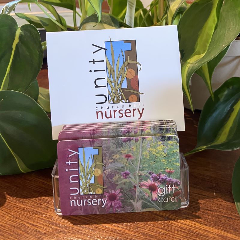 Unity Church Hill Nursery gift cards in a card holder.