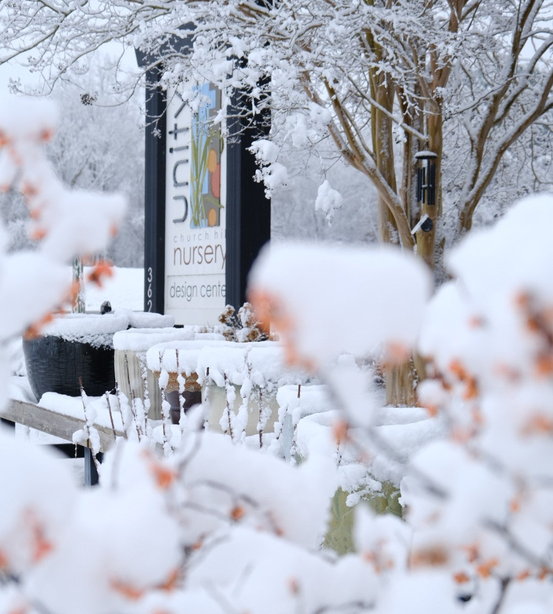 snow covered shrubs and planters with Unity sign